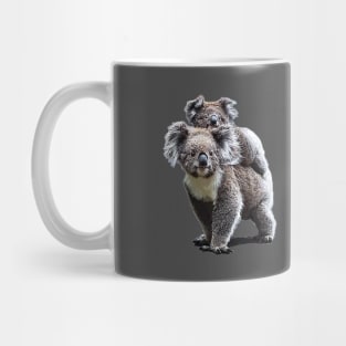 Koala Bears Australia Mug